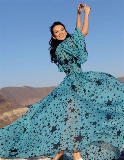 Zhang Ziyi