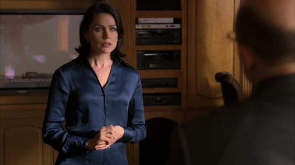 Rena Sofer