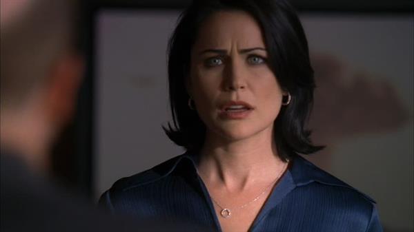 Rena Sofer