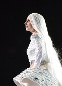 Lady Gaga ArtRave: The Artpop Ball Tour