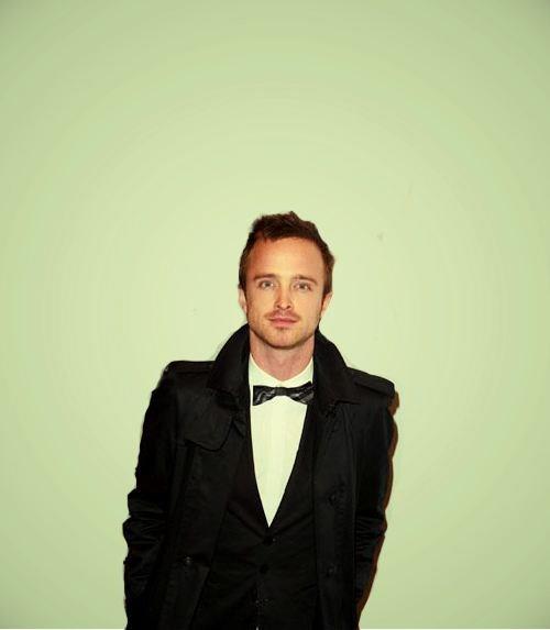 Aaron Paul