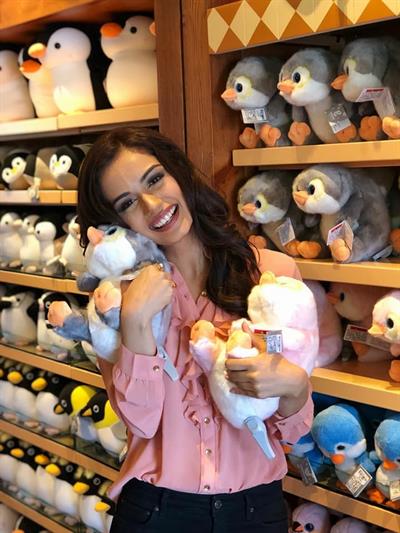 Manushi Chhillar