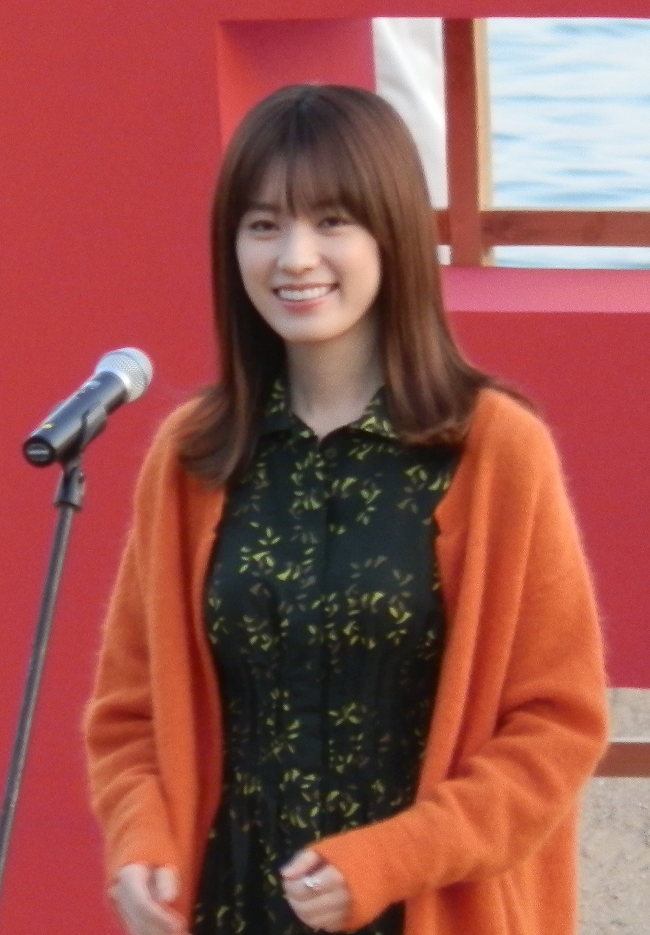 han-hyo-joo