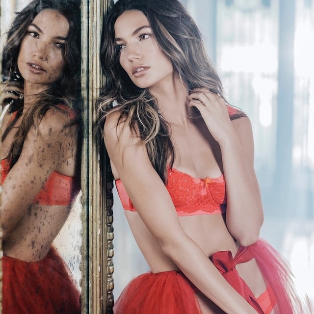 Lily Aldridge in lingerie