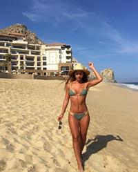 Erika Wheaton in a bikini