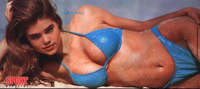 Denise Richards in a bikini