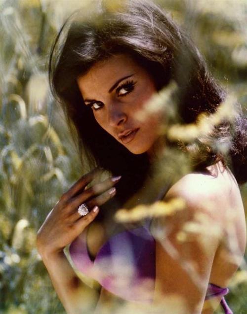 Raquel Welch in a bikini