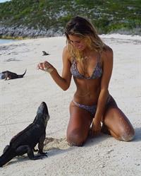 Sarah Kohan in a bikini