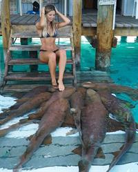 Sarah Kohan in a bikini