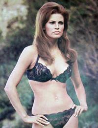 Raquel Welch in lingerie