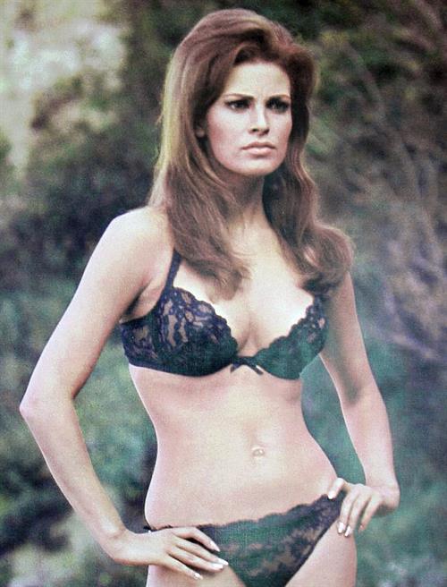 Raquel Welch in lingerie