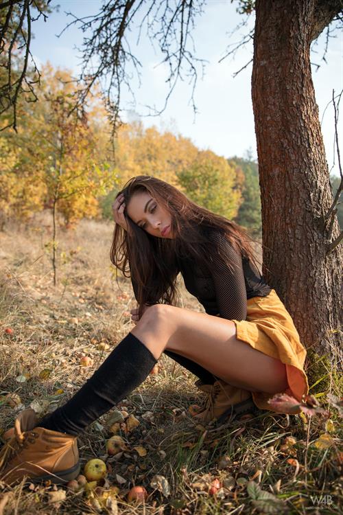 Sabrisse Aaliyah Pictures Autumn Mood - Free preview - WATCH4BEAUTY | Nude Art Magazine