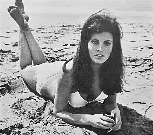 Raquel Welch in a bikini