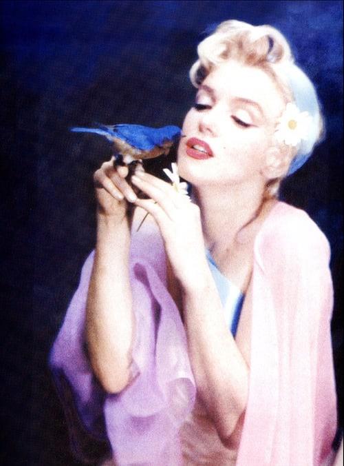 Marilyn Monroe