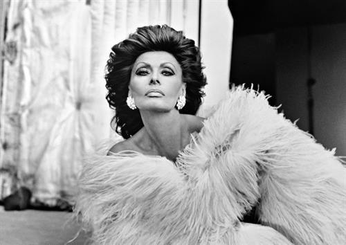 Sophia Loren