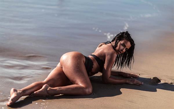 Vida Guerra