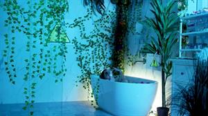 Bella Thorne Pictures Pictures from Bella Thorne's Thorne By Bella shop. November 2018