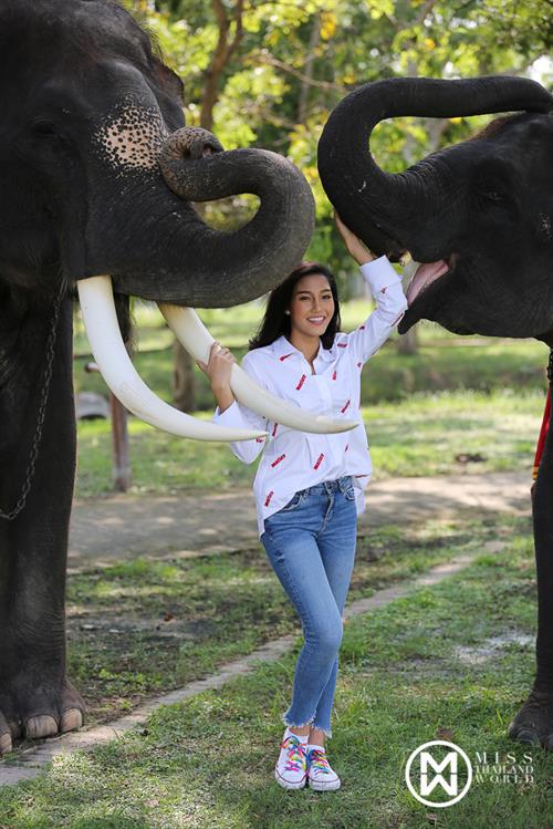 Nicolene Pichapa Limsnukan