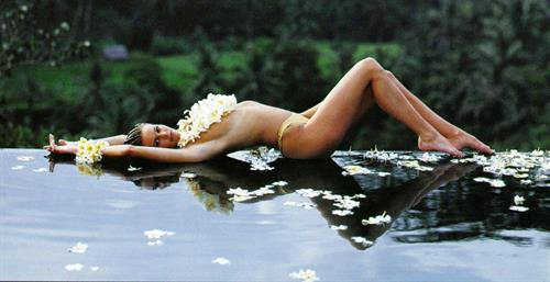 Elle MacPherson in a bikini