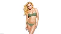 Hayden Panettiere in a bikini