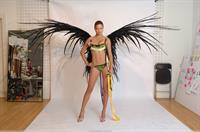 Adriana Lima in lingerie