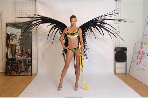 Adriana Lima in lingerie