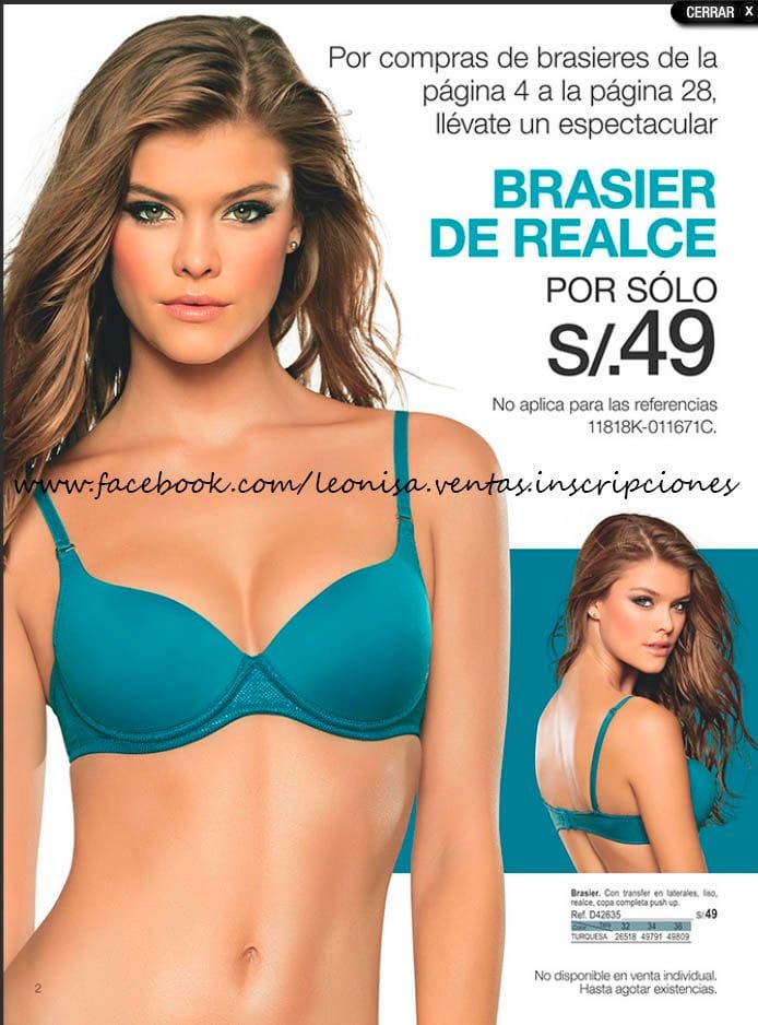 Nina Agdal in lingerie