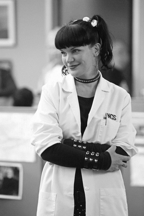 Pauley Perrette