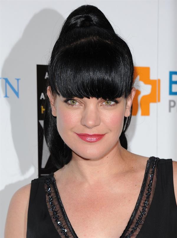 Pauley Perrette