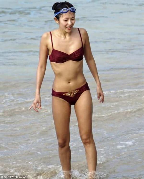 Zhang Ziyi in a bikini