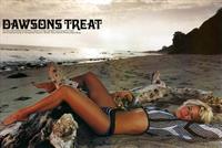 Brittany Daniel in a bikini