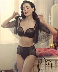 Dita Von Teese in lingerie