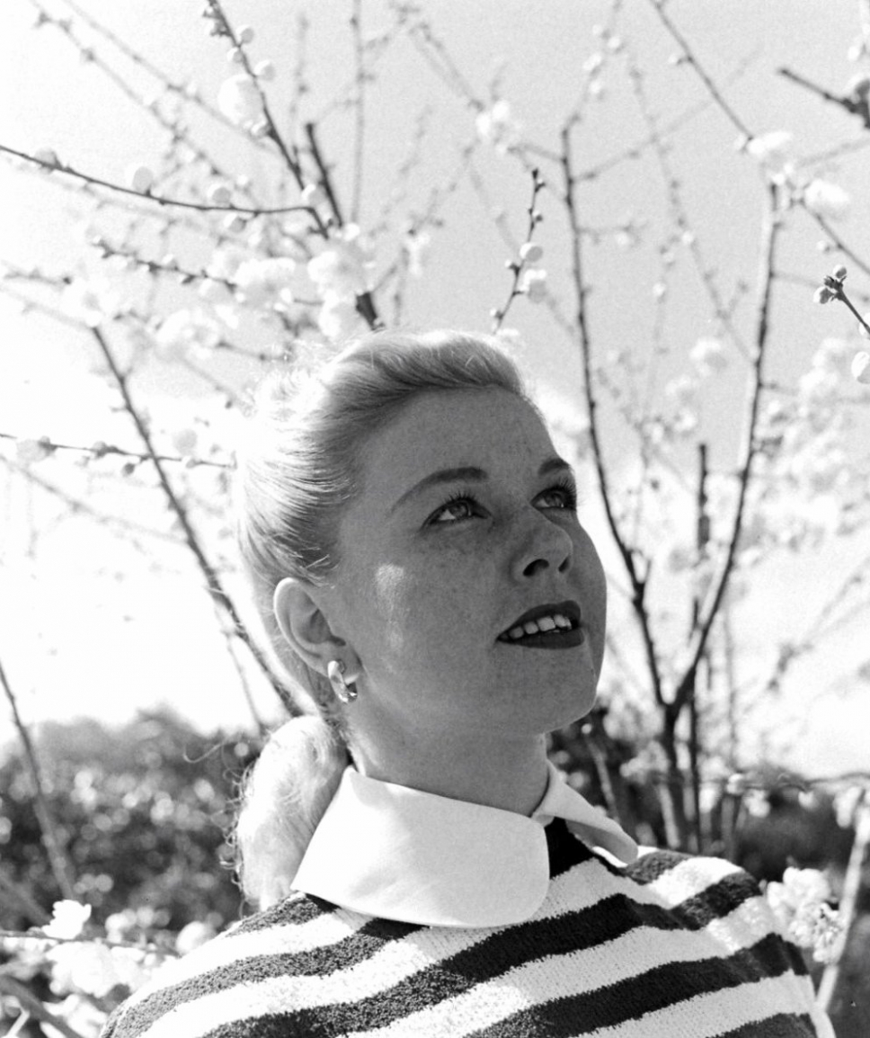 doris-day