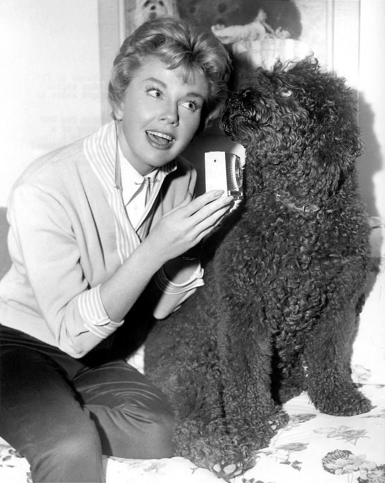 doris-day