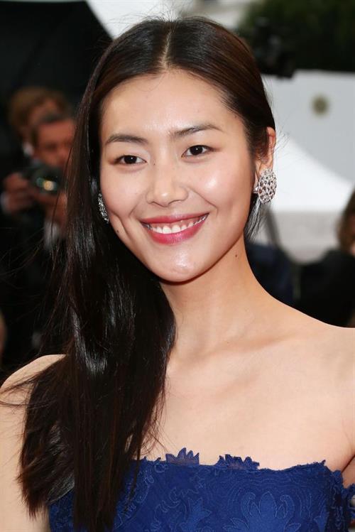 Liu Wen