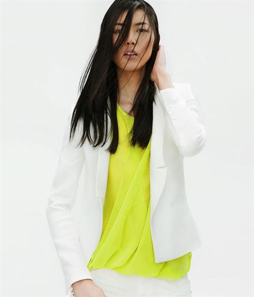 Liu Wen