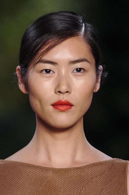 Liu Wen