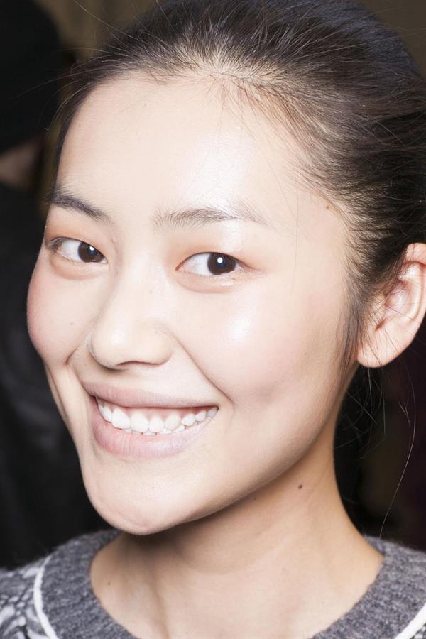 Liu Wen