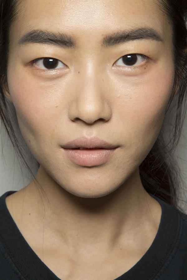 Liu Wen