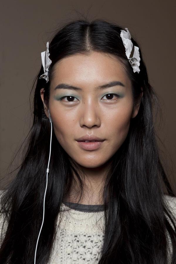 Liu Wen