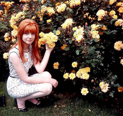 Jane Asher