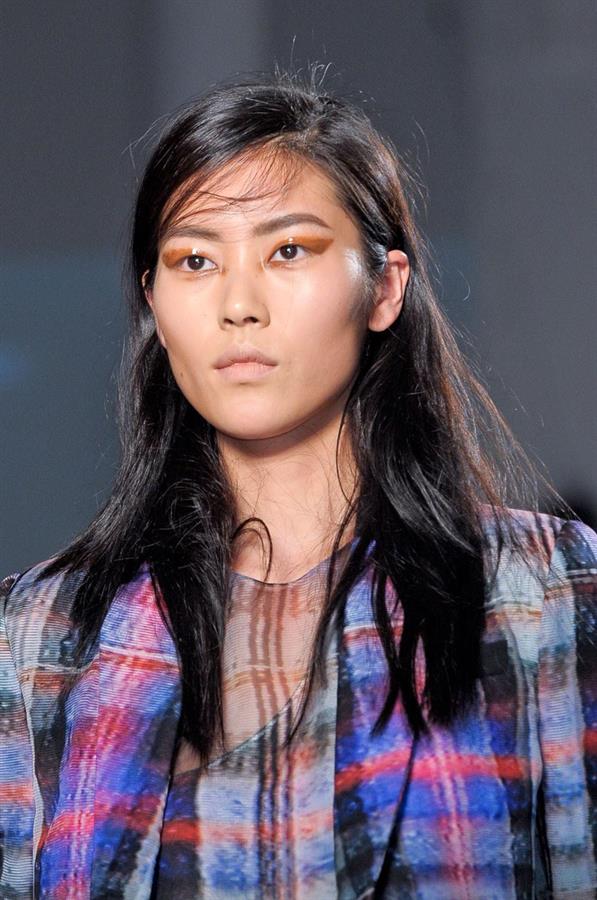 Liu Wen