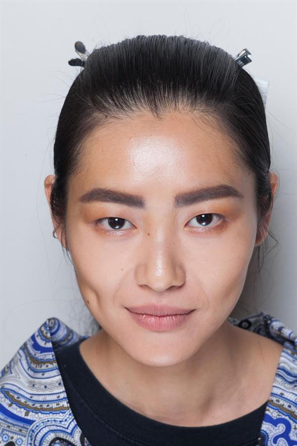 Liu Wen