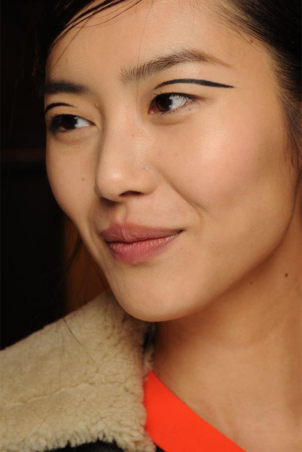 Liu Wen