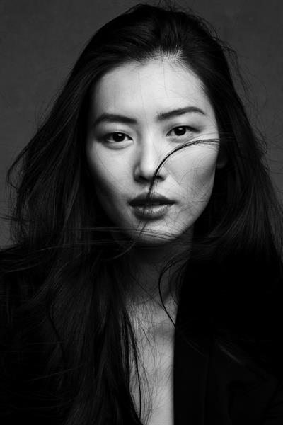 Liu Wen