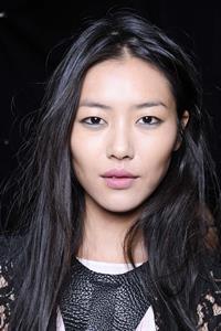 Liu Wen