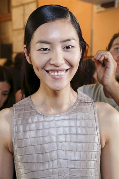 Liu Wen