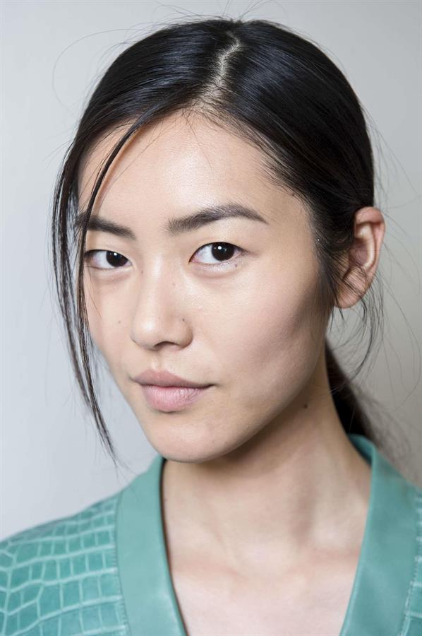 Liu Wen