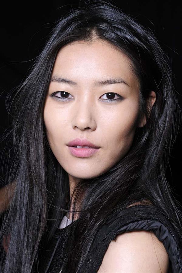 Liu Wen