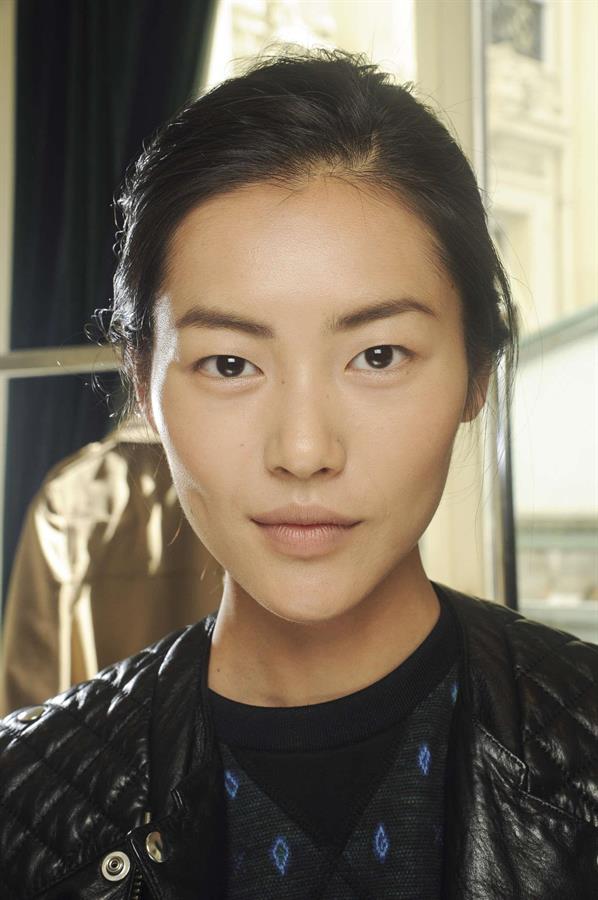 Liu Wen